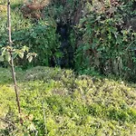 Cabanelas - Casa Do Afonso Vale de Cambra