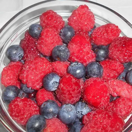 Feriehus Cabanelas - Casa Do Afonso Vale de Cambra