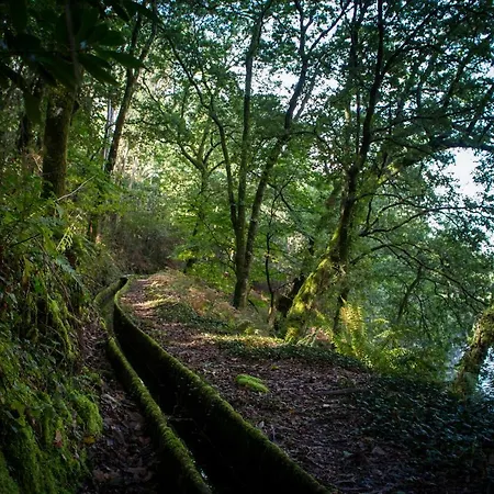 Cabanelas - Casa Do Afonso * Vale de Cambra
