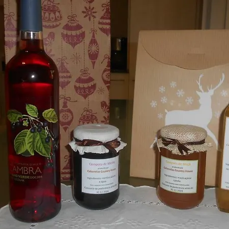 Tatil Evi Cabanelas - Casa Do Afonso Vale de Cambra