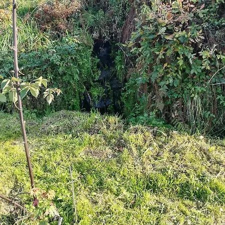 Cabanelas - Casa Do Afonso Vale de Cambra