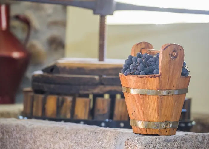 Cabanelas Σπίτι διακοπών *