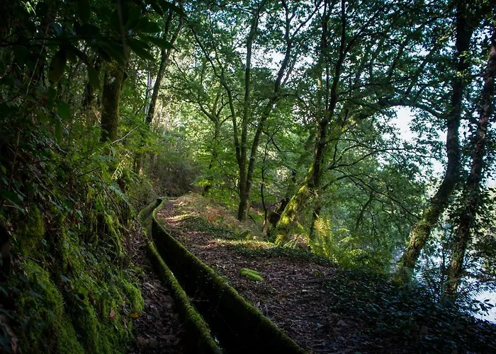 Cabanelas * Vale de Cambra